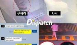 性视频网站,内容监管与用户隐私的双重挑战